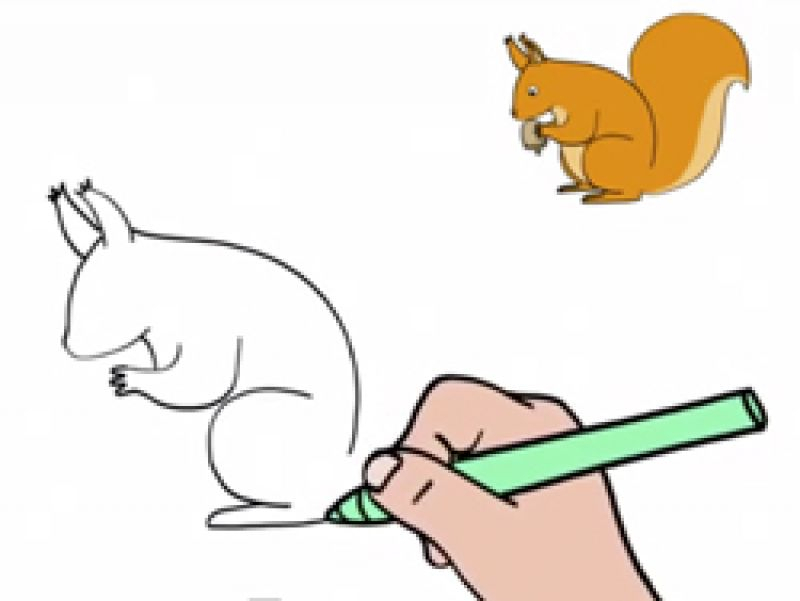 Apprendre À Dessiner Un Écureuil dedans Apprendre 0 Dessiner,