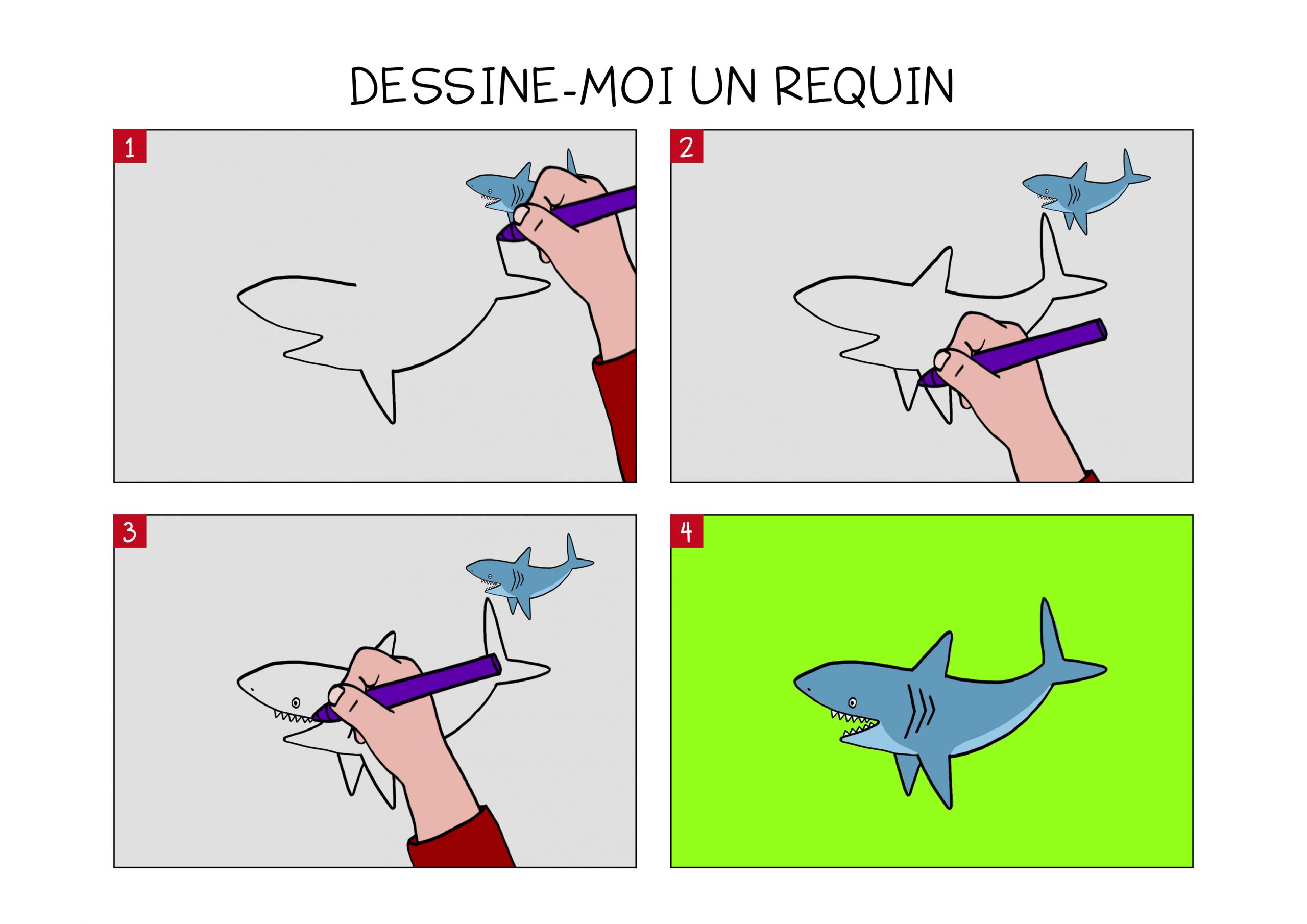 Apprendre À Dessiner Un Requin En 3 Étapes avec A Dessiner Animaux