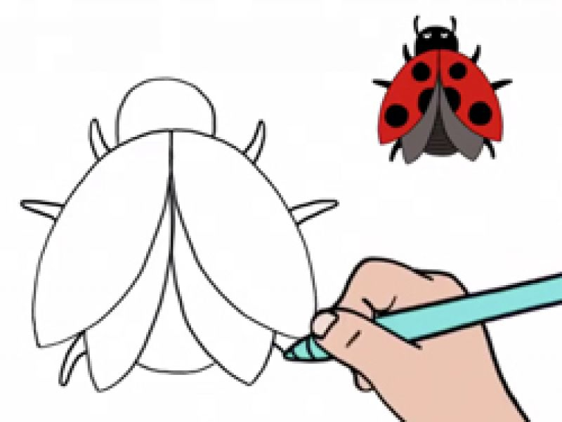 Apprendre À Dessiner Une Coccinelle destiné Dessin Coccinelle