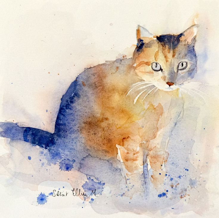 Aquarelles De Chats, Mais Aussi D&amp;#039;Autres Animaux Par à Dessin Chat