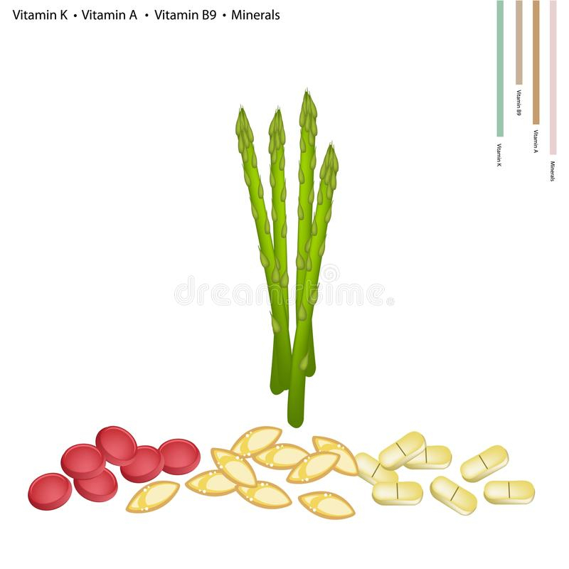 Asperge Stock Illustrations, Vecteurs, &amp;amp; Clipart - (8,690 destiné Vitamine K Dessin