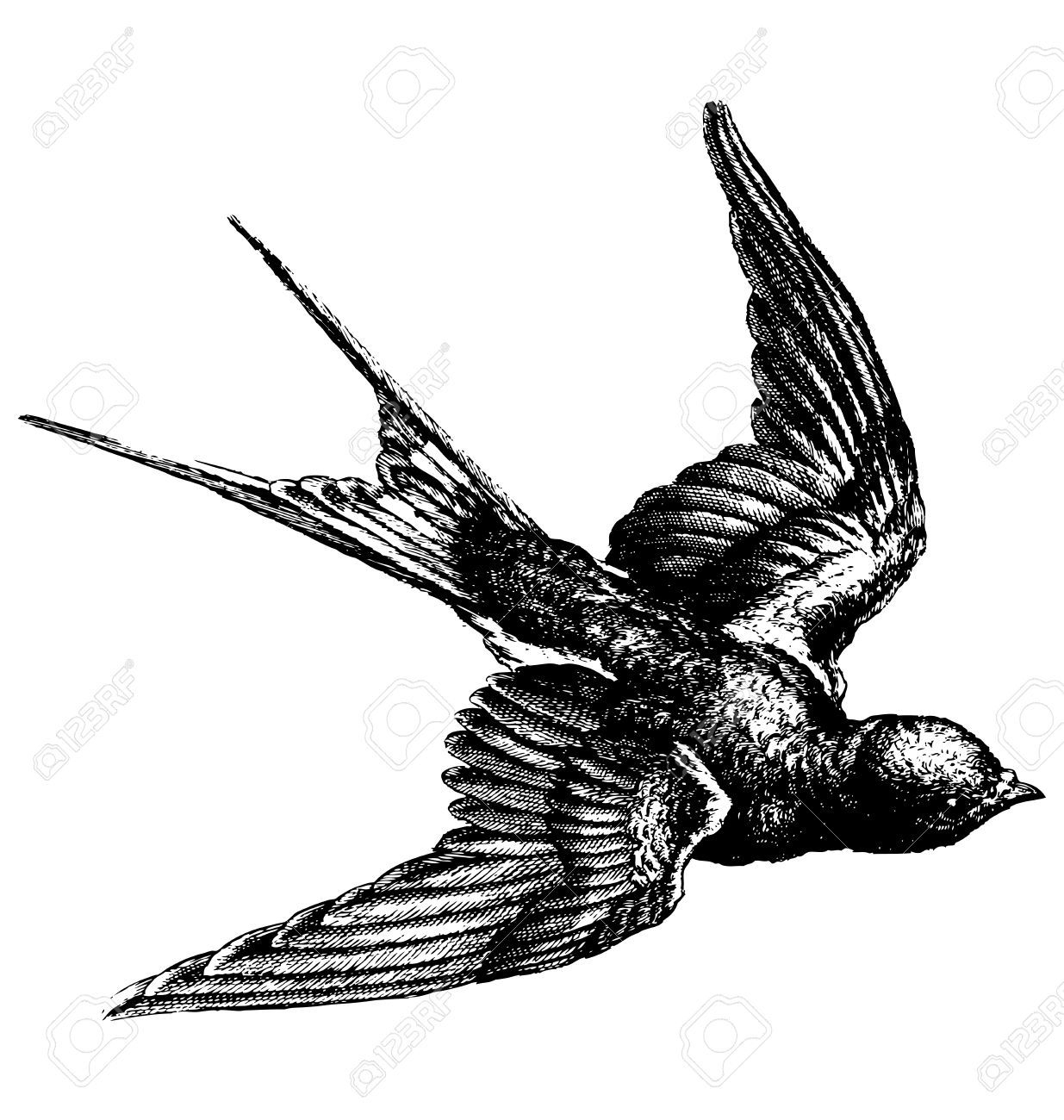 Billedresultat For Swallows Silhouette | Oiseau En Vol dedans Oiseau En V Dessin