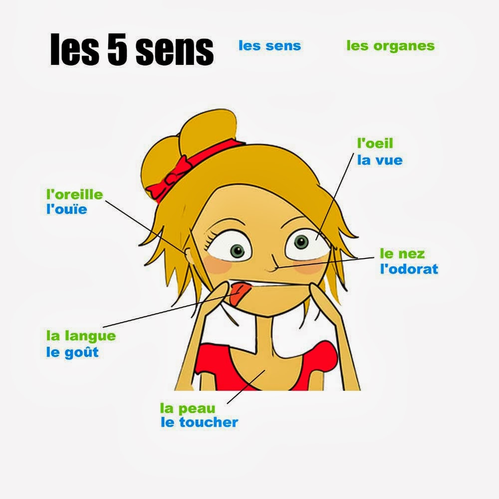 Bref J&amp;#039;Ai 30 Ans: Défi Octobre N°7 # Les 5 Sens destiné Coloriage 5 Sens