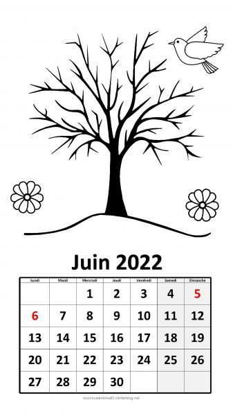 Calendrier 2022 À Thème À Colorier encequiconcerne Dessin 2022,