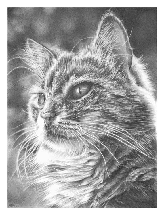 Chat Dessin Au Crayon Photo De Chat Cadeau Pour Les intérieur Dessin Chat,