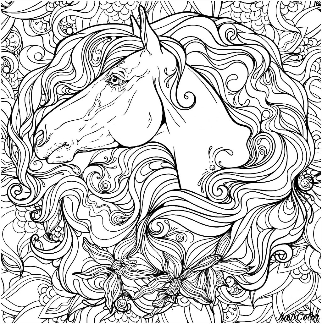 Cheval Dans Fleurs - Chevaux - Coloriages Difficiles Pour destiné Coloriage Cheval