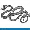 Cobra De Dessin Serpent Stock Illustrations, Vecteurs avec Serpent S Dessin