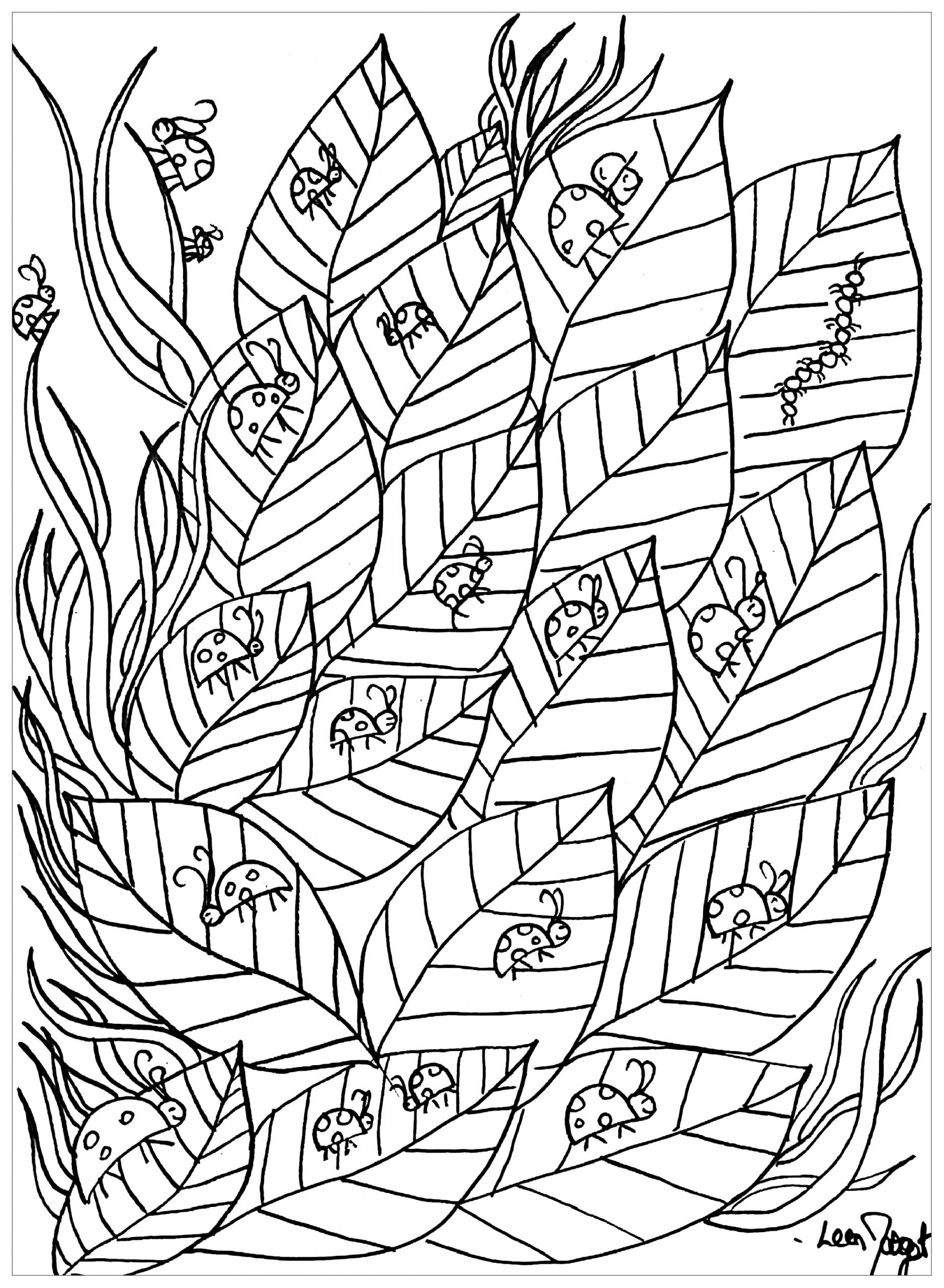 Coccinelles Sur Feuillage - Papillons &amp;amp; Insectes pour Coloriage Insectes