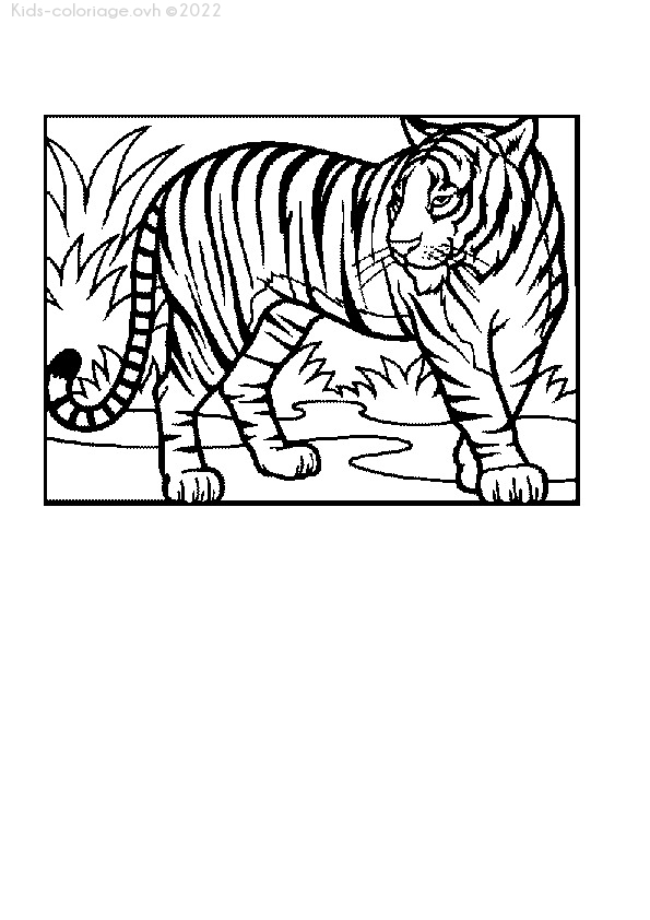 Coloriage À Imprimer Coloriage-Animaux-Zoo-46 concernant Zoo Dessin Coloriage Animaux