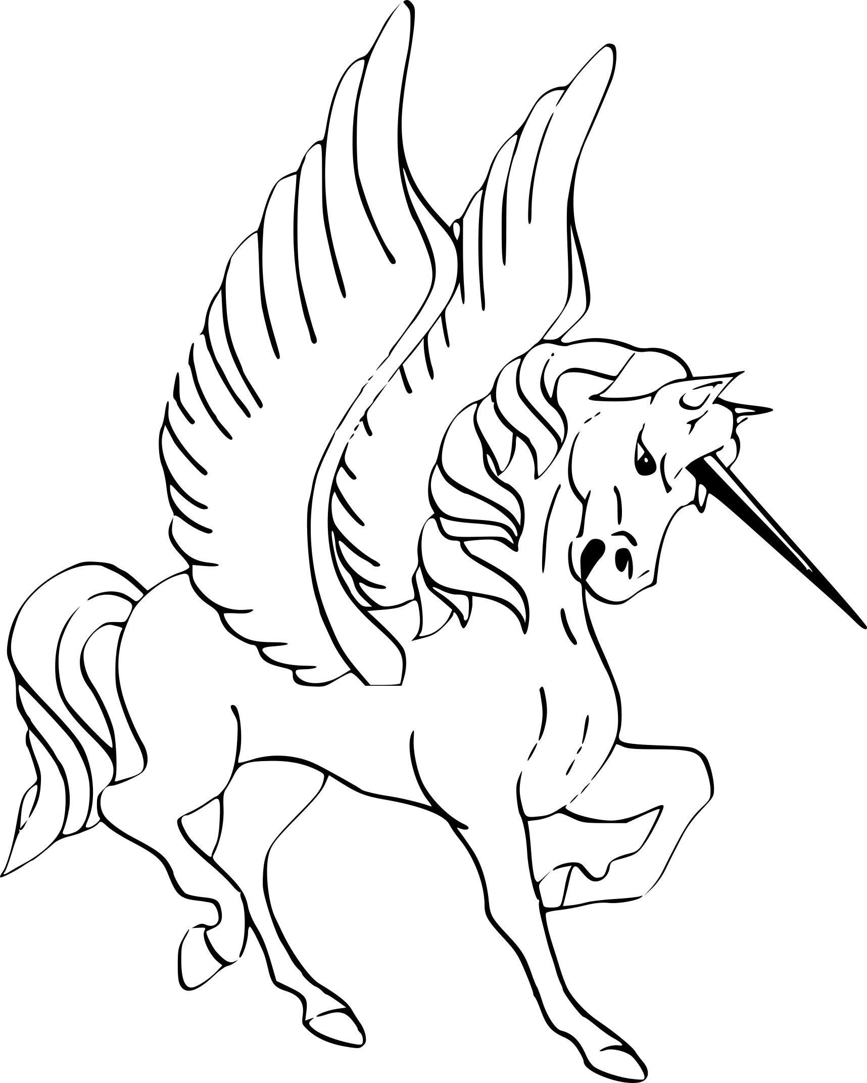 Coloriage A Imprimer Licorne Et Princesse - Coloriage Imprimer avec Coloriage Imprimer