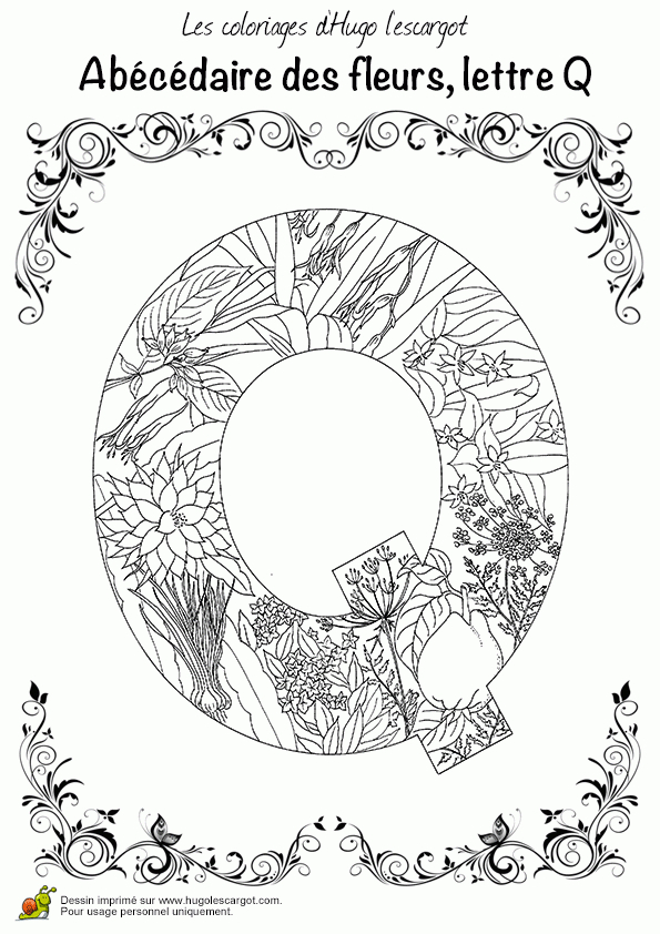 Coloriage Abecedaire Belles Fleurs A Lettre Q Sur intérieur Q Dessin