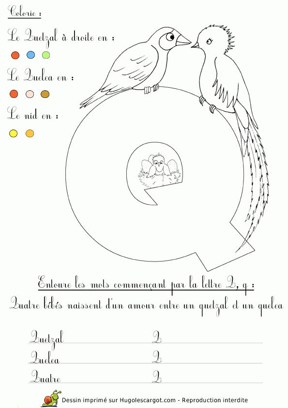 Coloriage Abecedaire Q, Page 182 Sur 296 Sur Hugolescargot concernant Coloriage Q