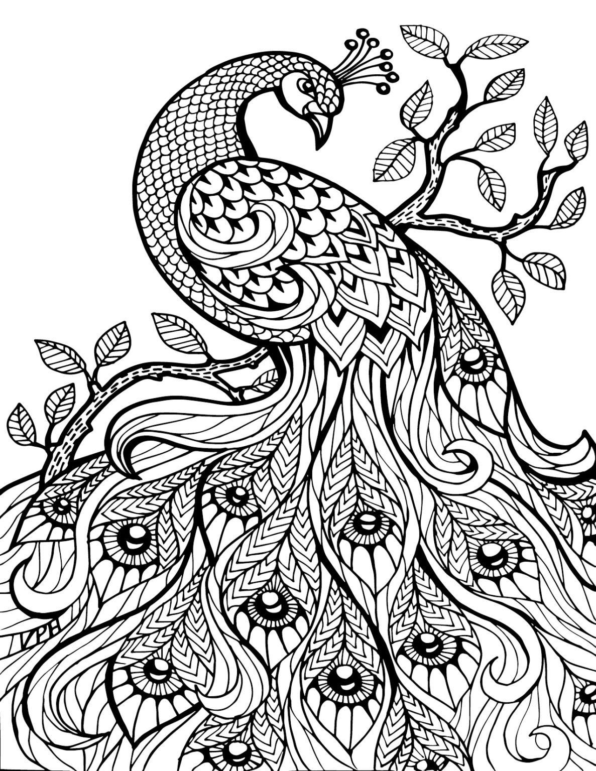 Coloriage Adulte À Imprimer Gratuits À Imprimer à Coloriage Adultes,