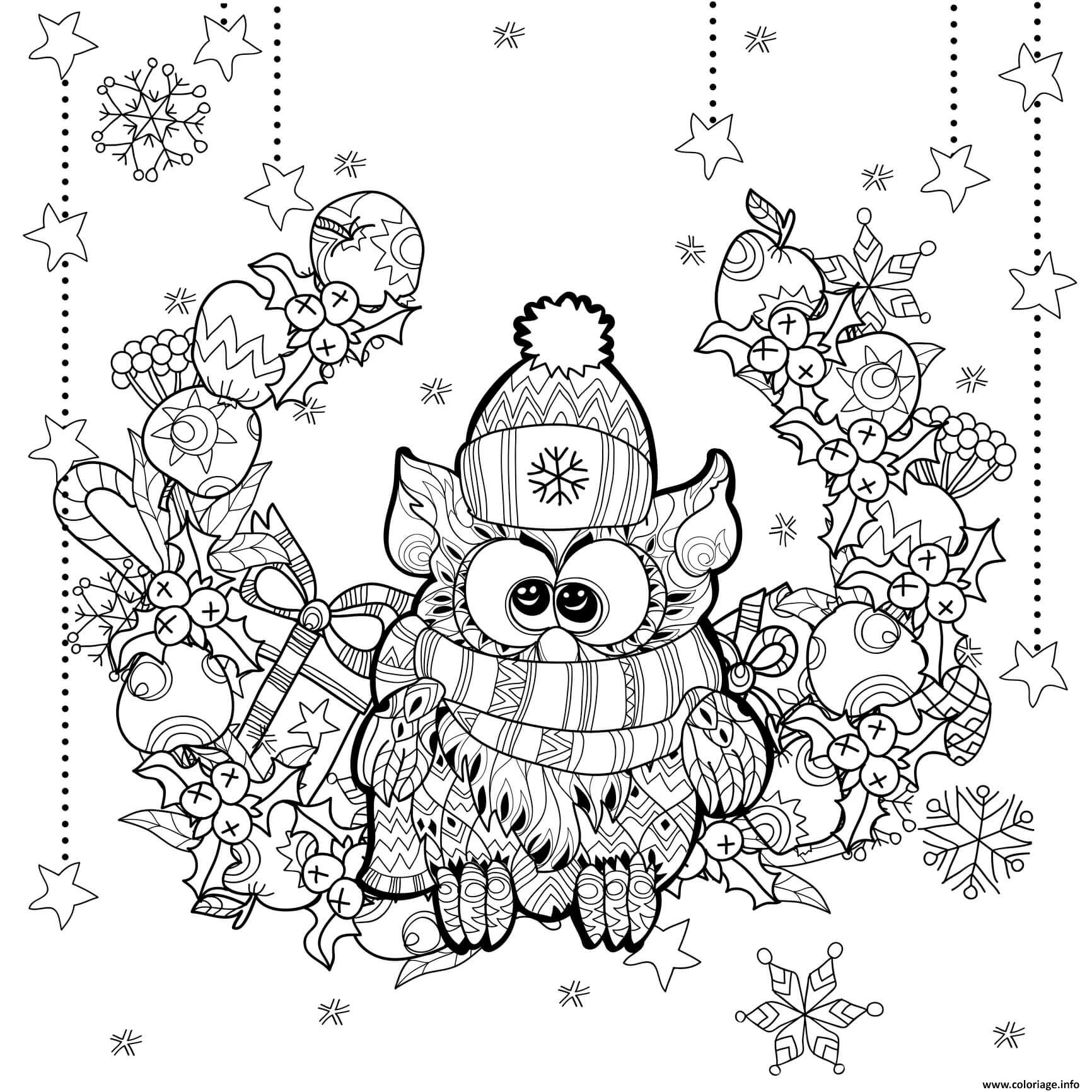 Coloriage Adulte Noel Chouette Hibou Paysage Dessin Noel concernant Coloriage Dessin Chouette