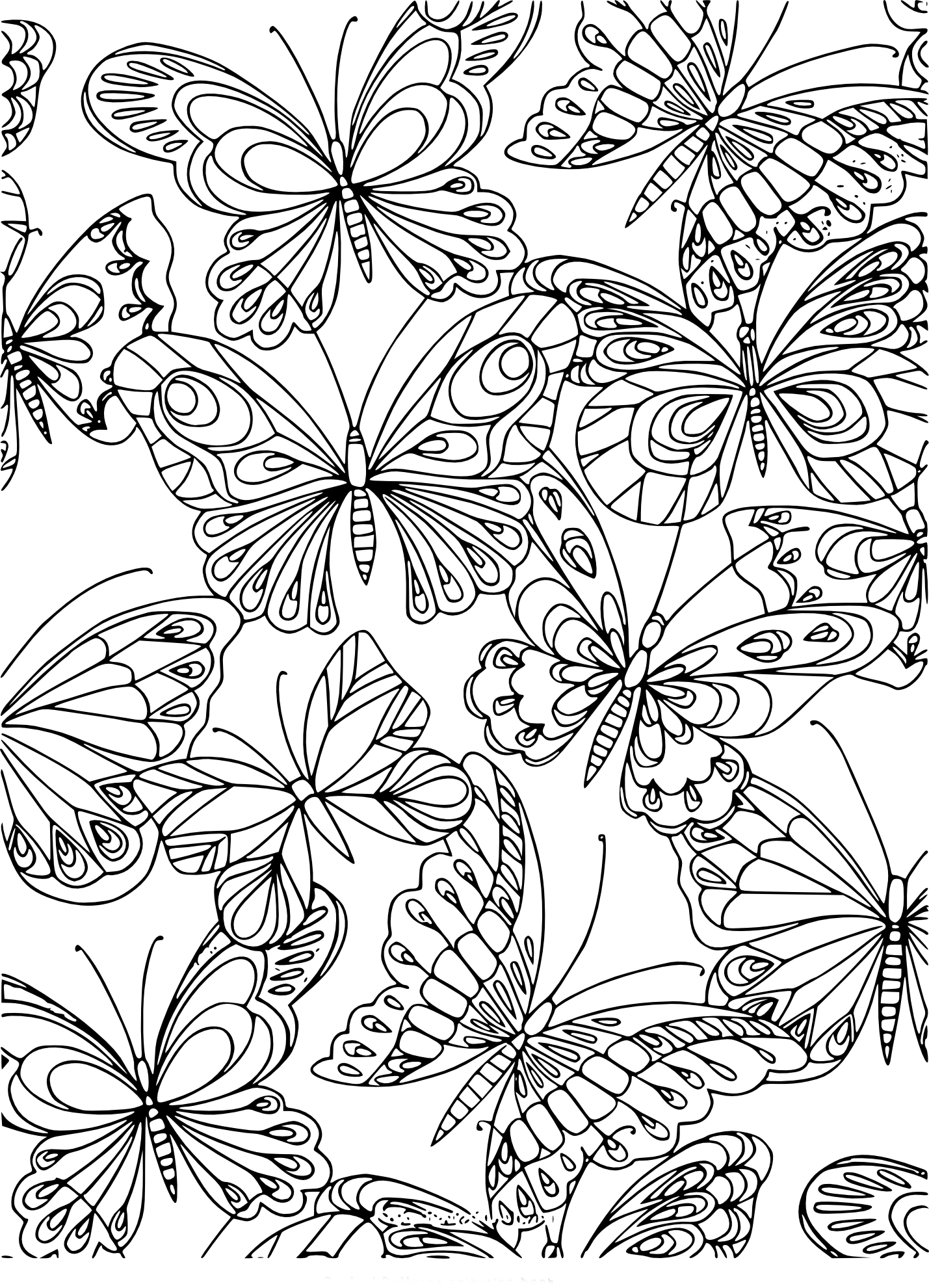 Coloriage Adulte Papillon À Imprimer intérieur Été Dessin À Colorier