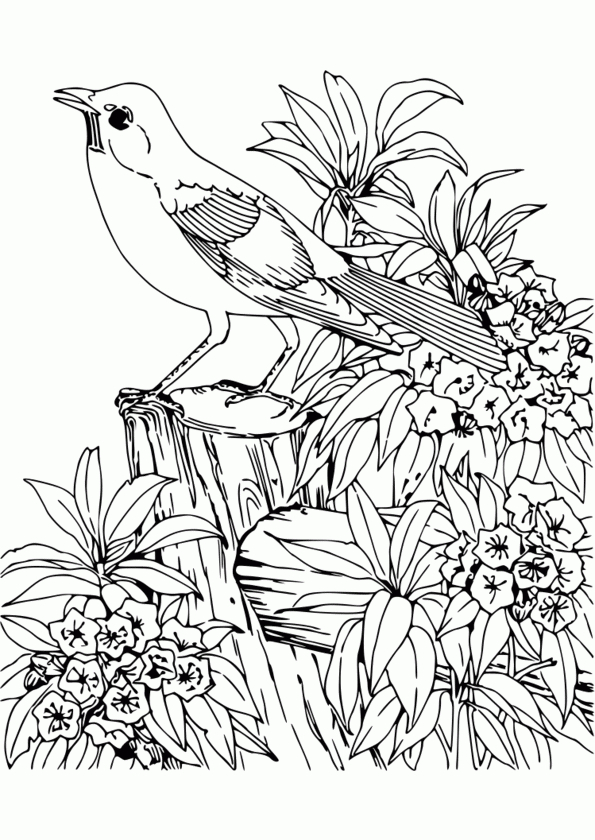 Coloriage Animaux Marins à Coloriage Animaux,