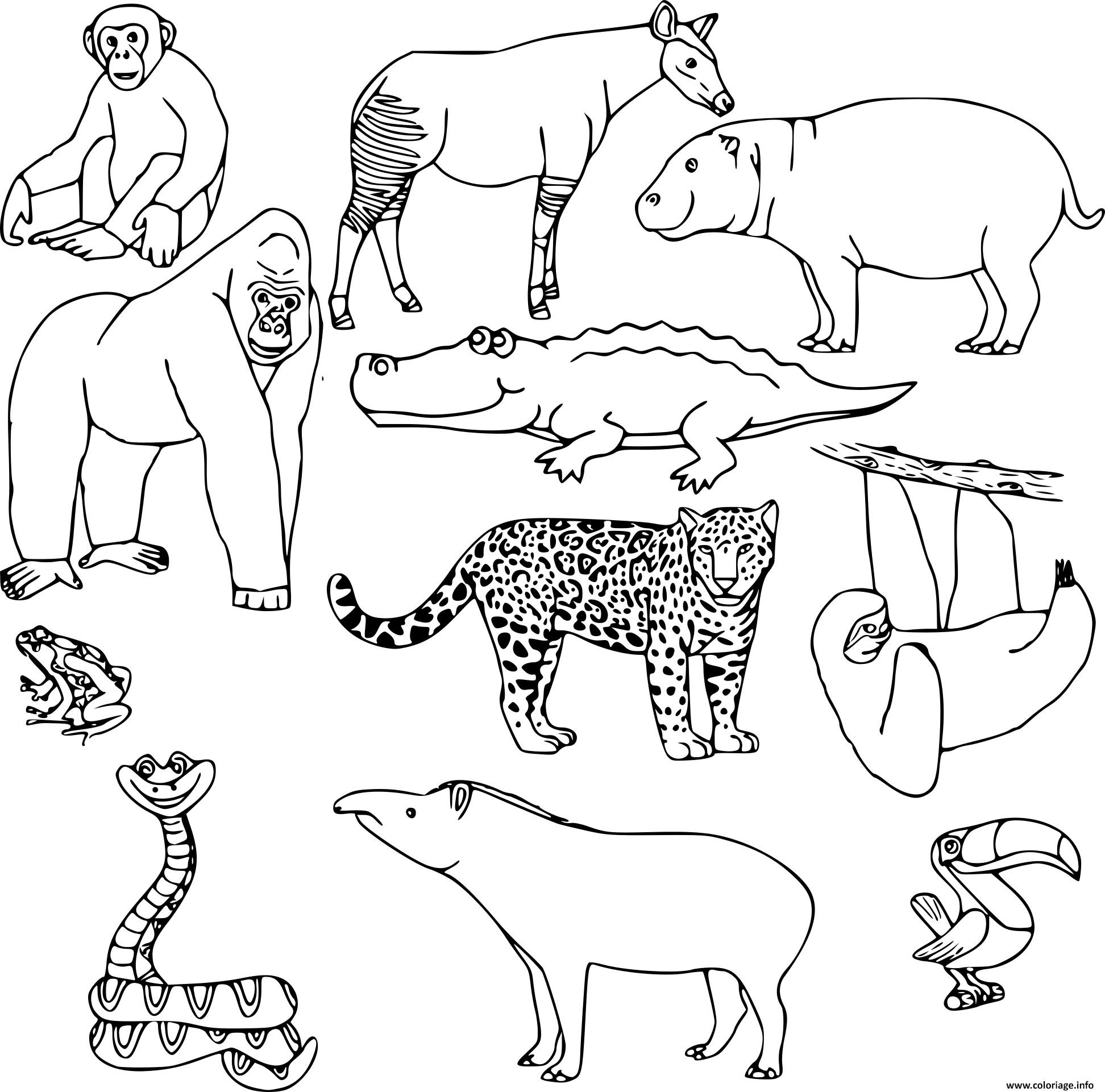 Coloriage Animaux Sauvages Dans La Jungle En Nature Dessin destiné Coloriage Dessin Nature