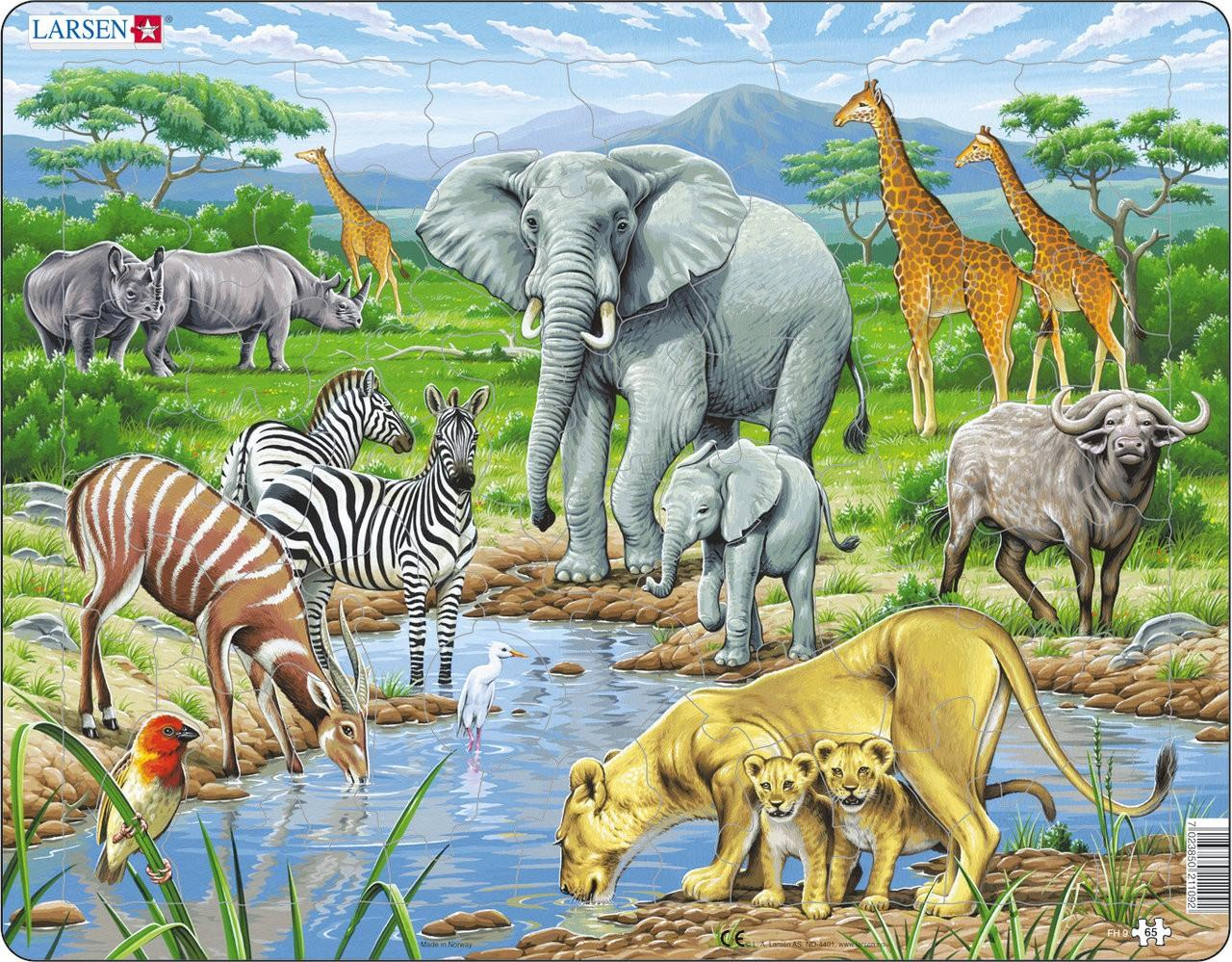 Coloriage Animaux Savane À Imprimer avec Dessin Animaux