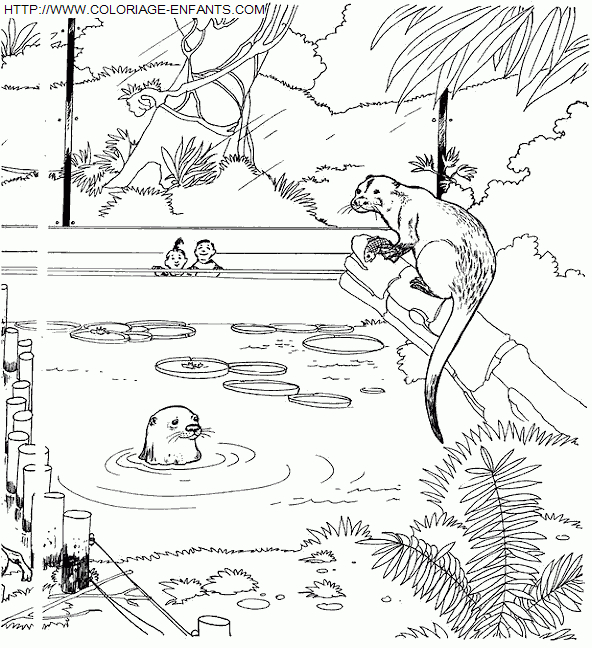 Coloriage Animaux Zoo À Imprimer Et À Colorier intérieur Zoo Dessin Coloriage Animaux