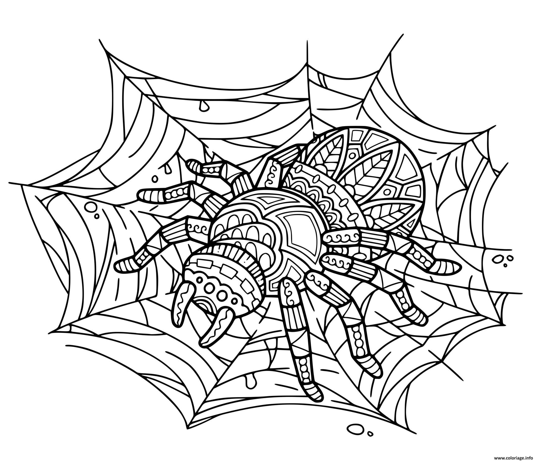 Coloriage Araignee Zentangle Dessin Halloween À Imprimer intérieur Dessin Coloriage À Imprimer Pdf