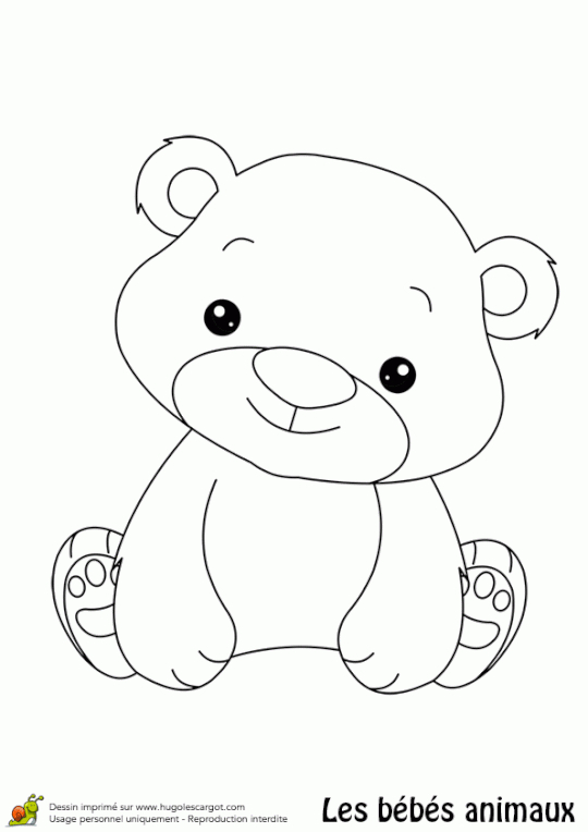 Coloriage Bébé Ours (Avec Images) | Coloriage Bébé destiné Coloriage Ours Dessin