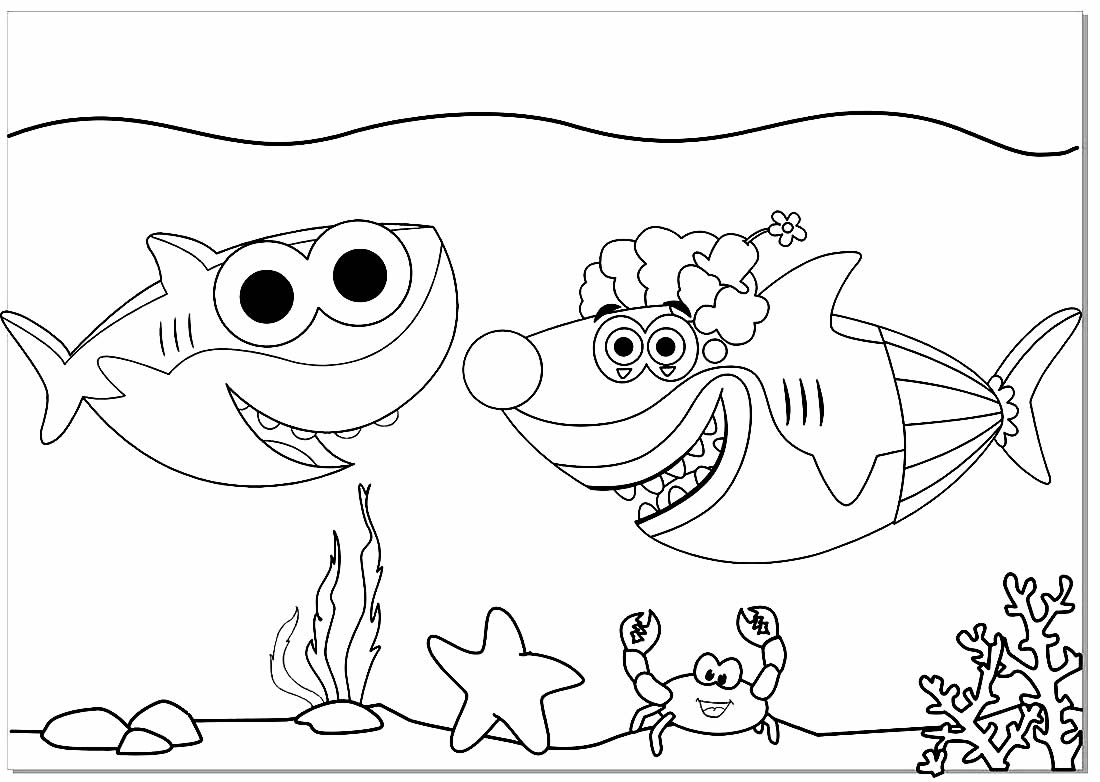 Coloriage Bébé Requin - Maison Bonte : Votre Guide encequiconcerne Coloriage Requin