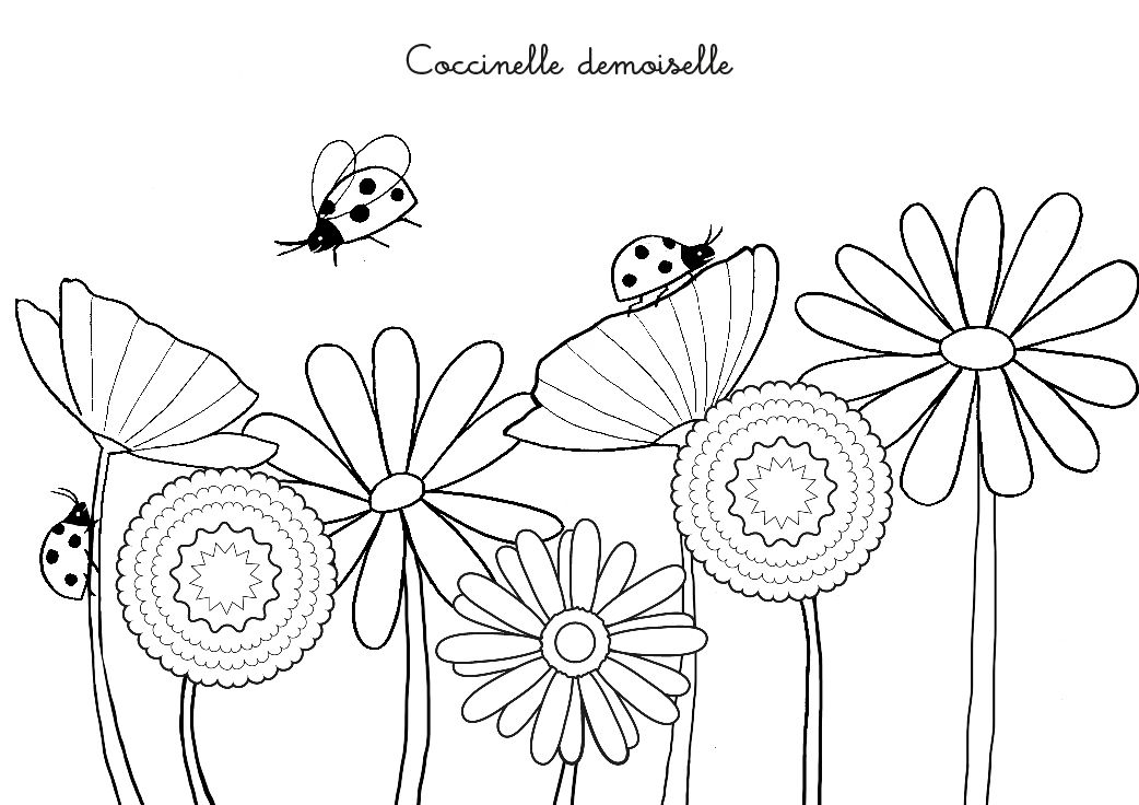 Coloriage Chanson : Coccinelle Demoiselle | Coloriage avec Coloriage Dessin Printemps