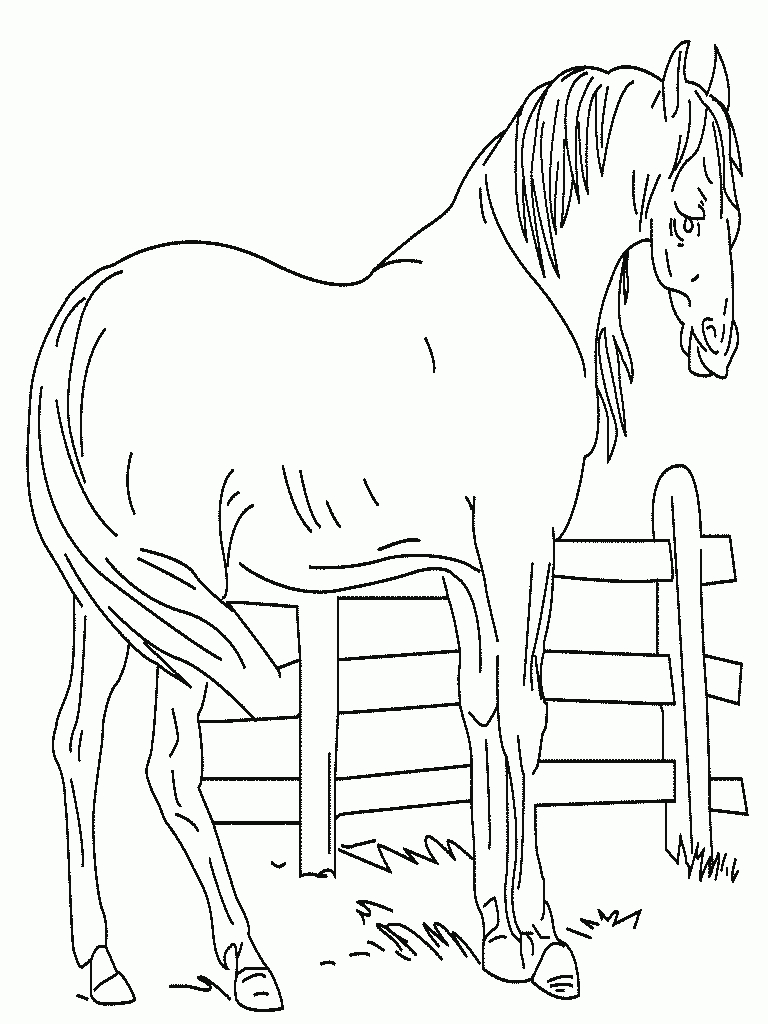 Coloriage Cheval intérieur Coloriage Cheval