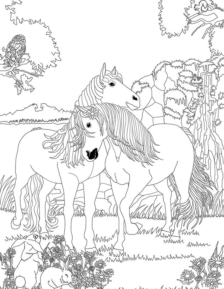 Coloriage Cheval Sauvage | Coloriage Kids dedans Coloriage Cheval,