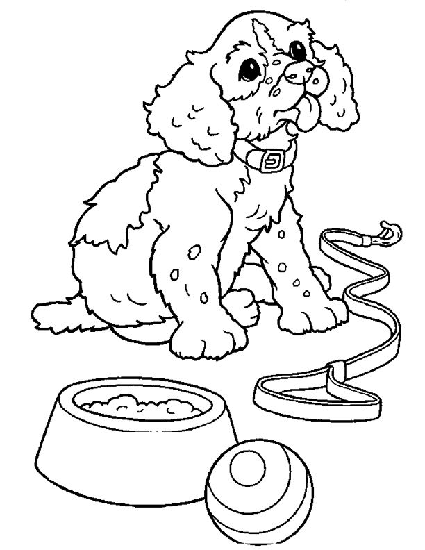 Coloriage Chien concernant Coloriage Chien