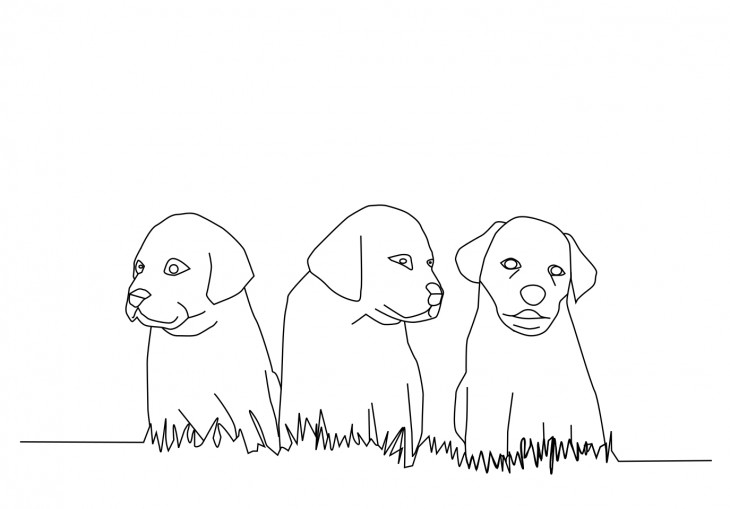 Coloriage Chiots Dans L&amp;#039;Herbe À Imprimer Et Colorier pour Coloriage Dessin Herbe