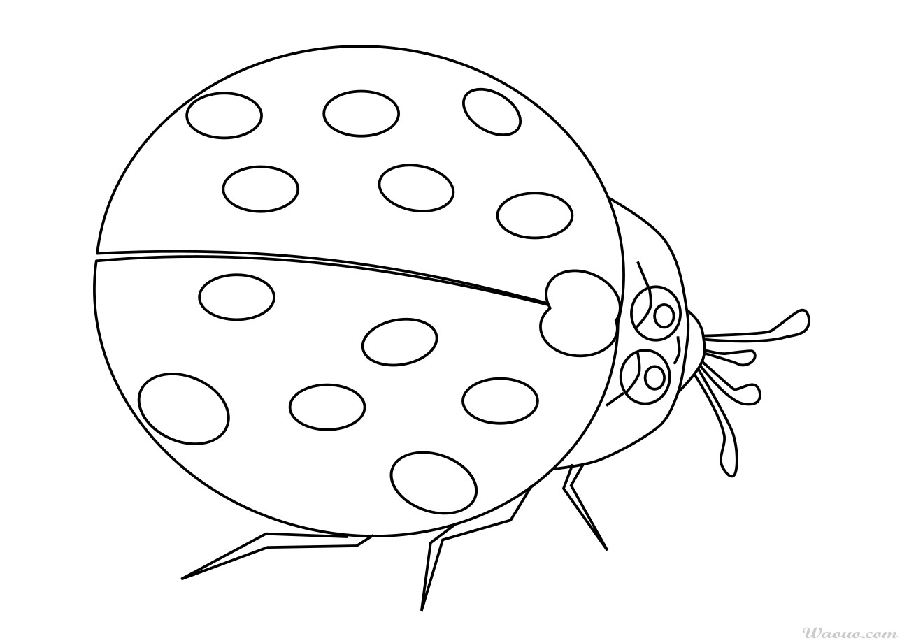 Coloriage Coccinelle Et Dessin À Imprimer Et Colorier encequiconcerne Dessin Coccinelle