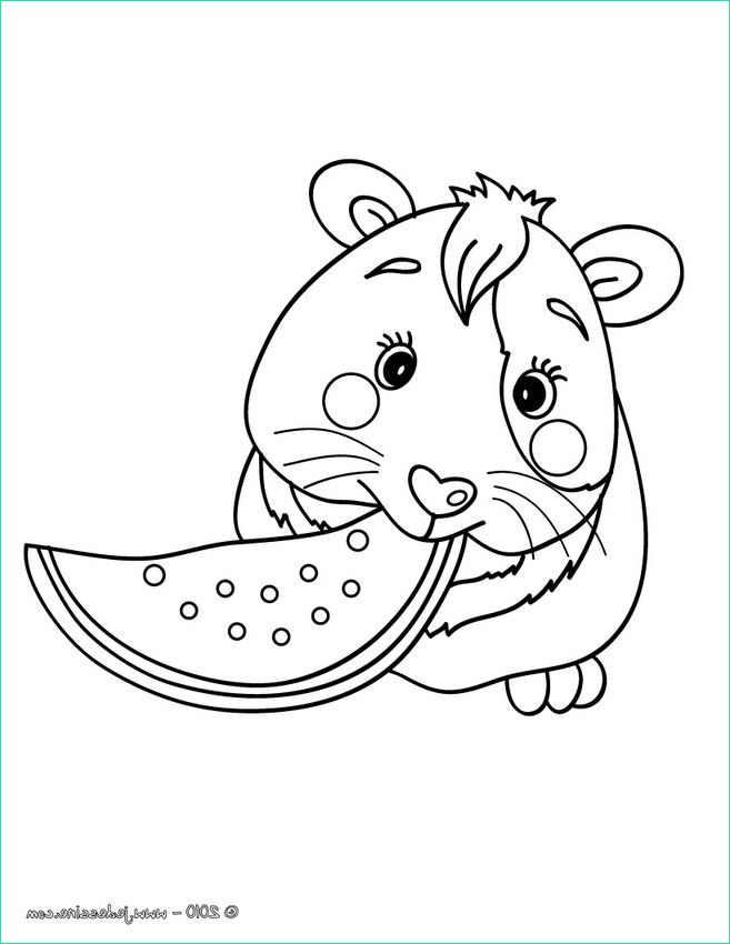 Coloriage Cochon D&amp;#039;Inde Inspirant Stock Coloriage204 pour Coloriage Cochon D&amp;amp;#039;Inde