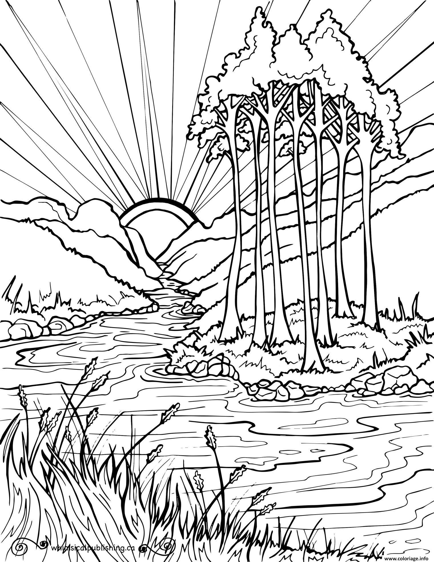 Coloriage Couche De Soleil En Plein Nature Lav Et Arbres encequiconcerne Coloriage Dessin Et L Extraterrestre