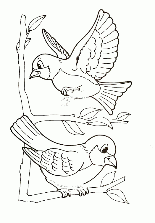 Coloriage D Oiseaux pour Coloriage Oiseaux