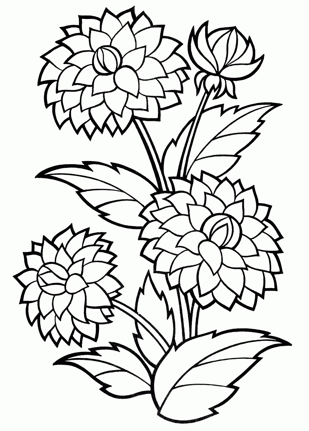 Coloriage - Dahlia avec C Coloriage