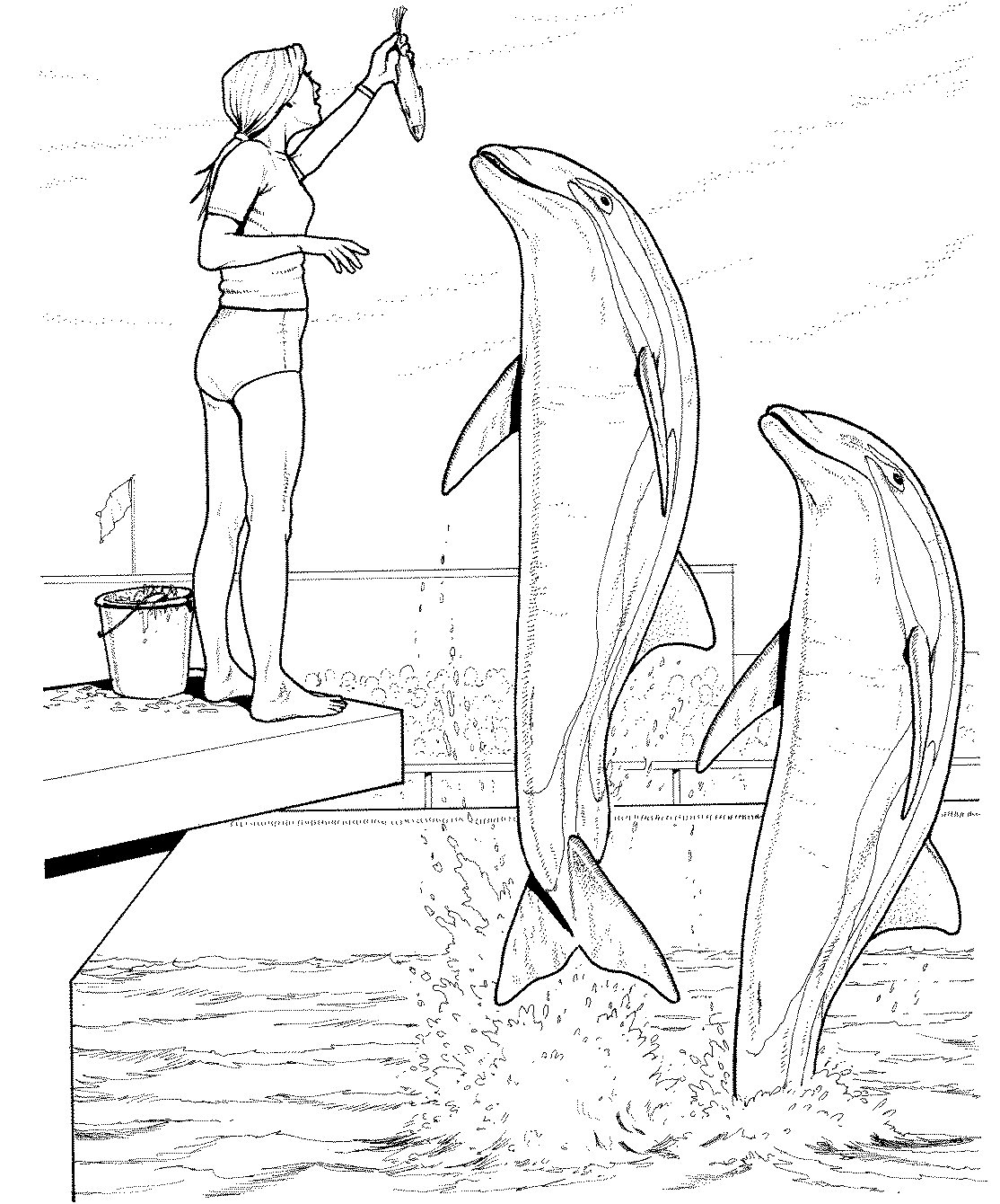 Coloriage Dauphin #5191 (Animaux) - Album De Coloriages pour Dessin Dauphin