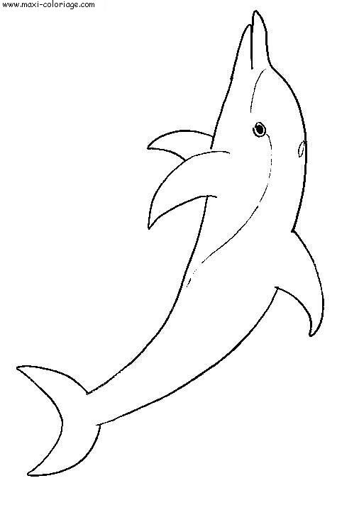 Coloriage Dauphins, Dessin Dauphins, Dauphins Coloriage N°4274 à Coloriage Dauphin