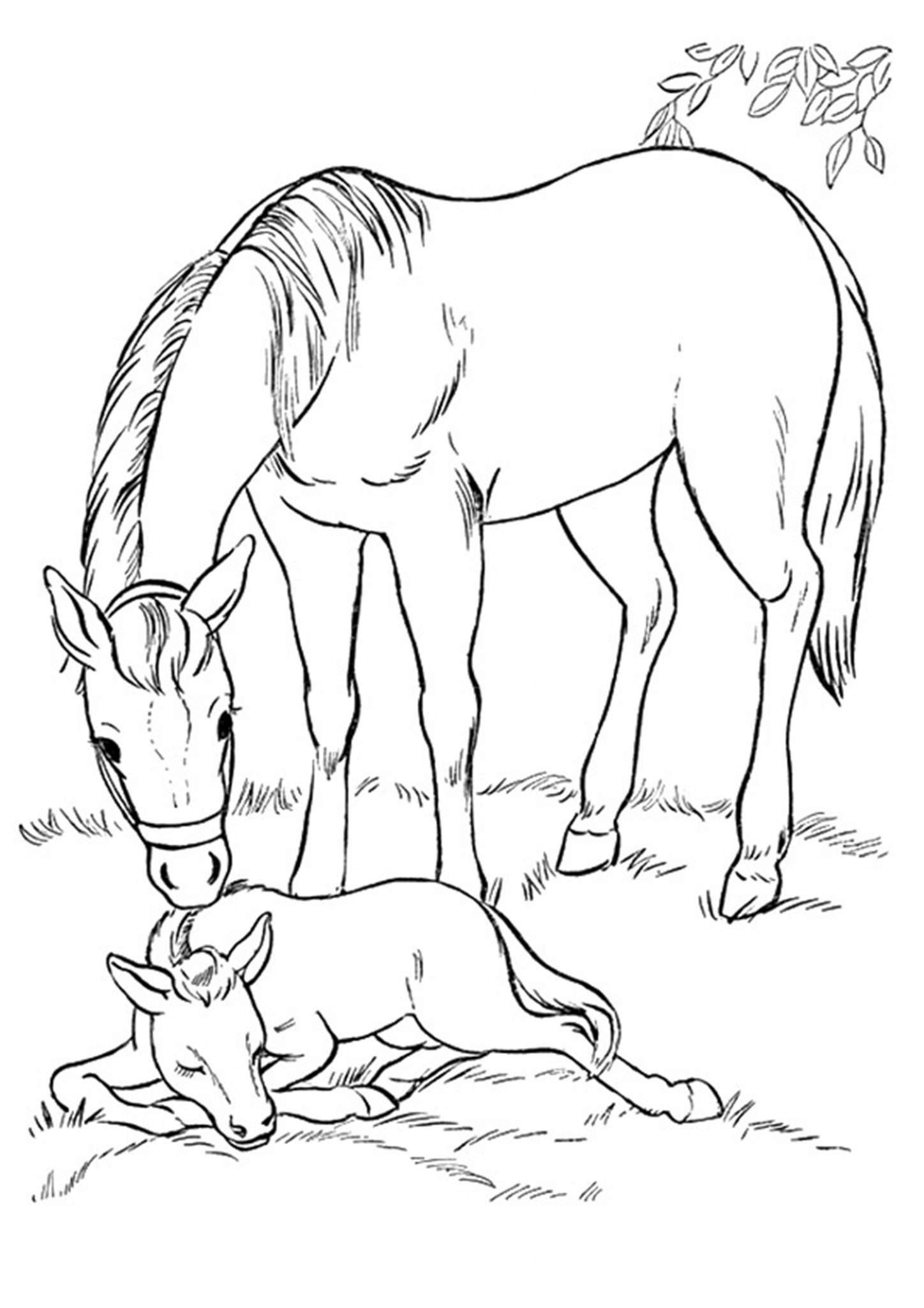 Coloriage De Cheval À Imprimer Gratuitement | Moncoloriage.fr dedans Coloriage À Imprimer C