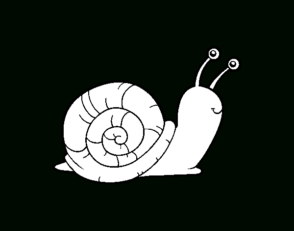 Coloriage De L&amp;#039;Escargot Pour Colorier - Coloritou intérieur Escargot Dessin Coloriage