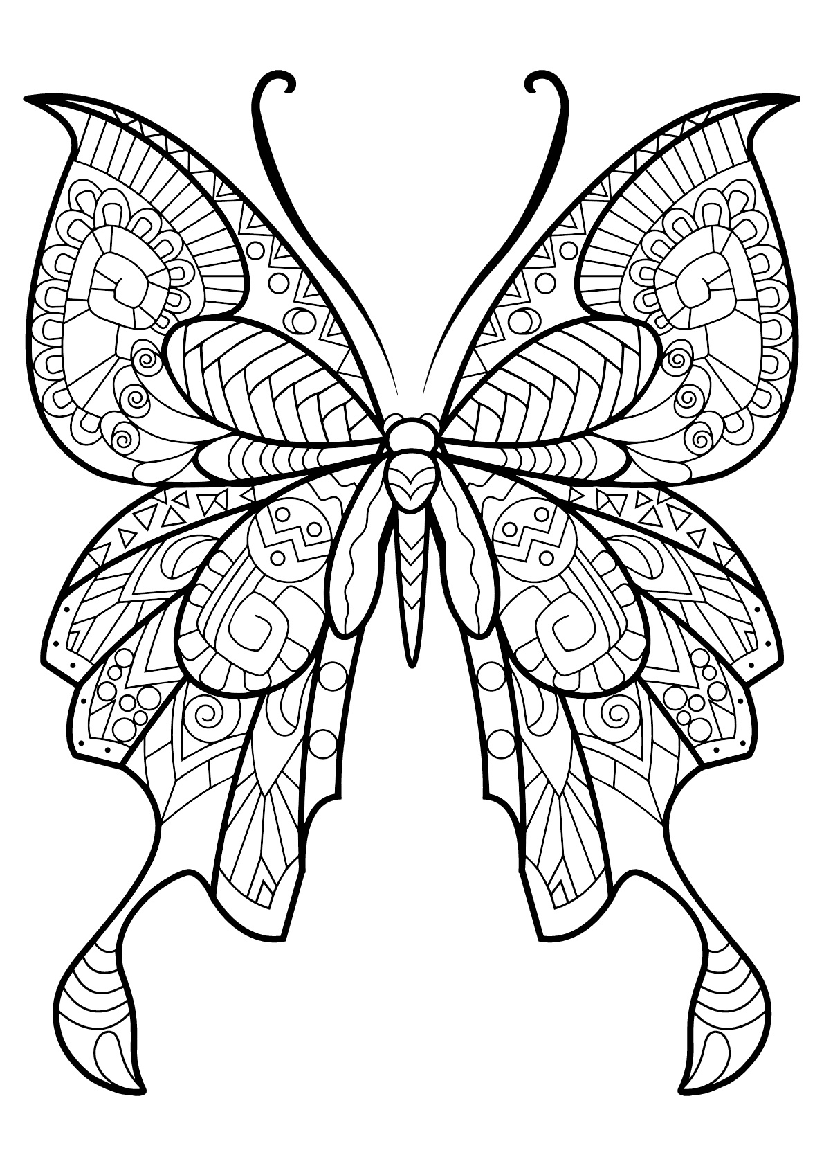 Coloriage De Papillons Pour Enfants - Coloriage De encequiconcerne Coloriage Papillon