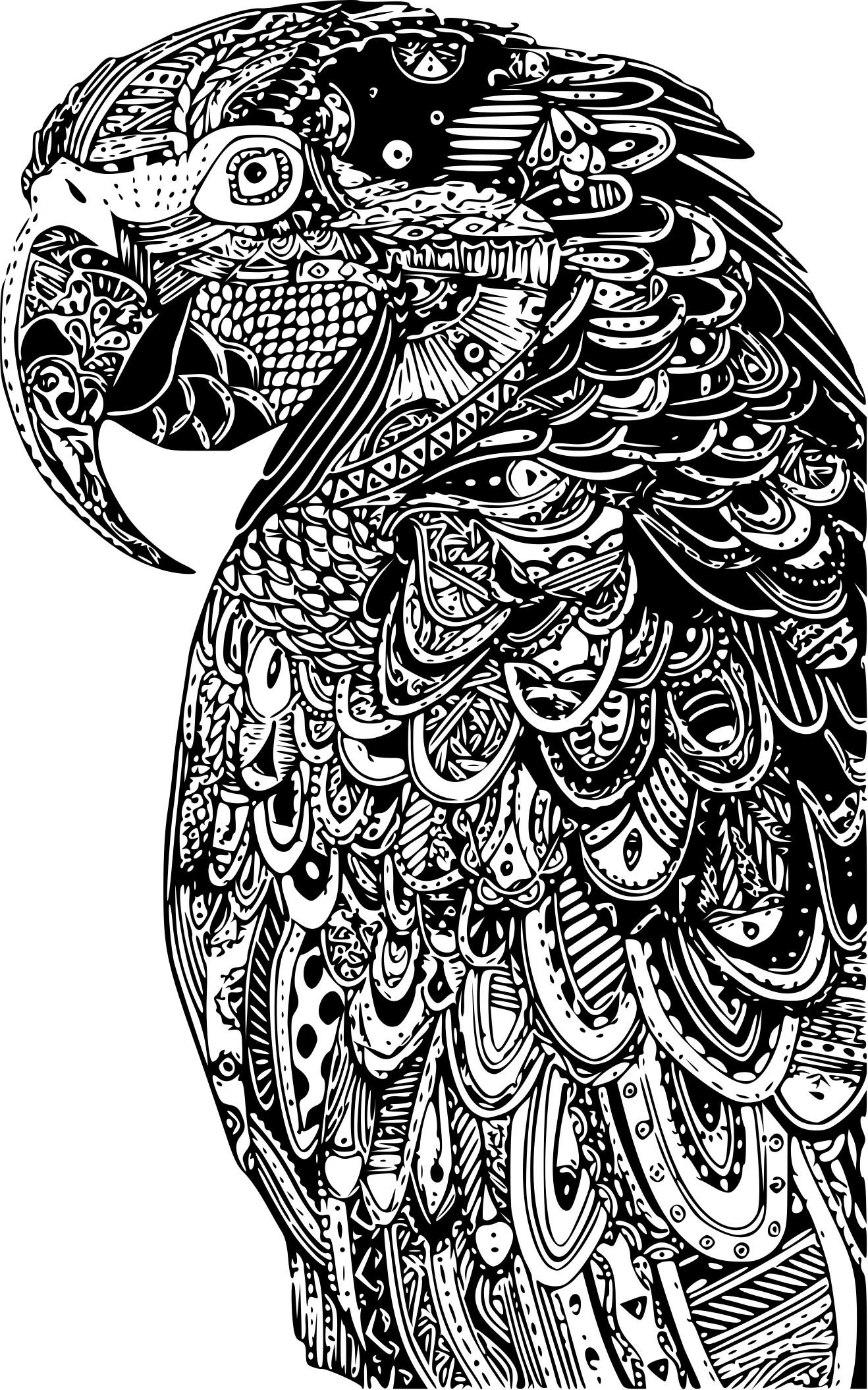 Coloriage De Perroquet A Imprimer - Gratuit Coloriage à A Imprimer Coloriage