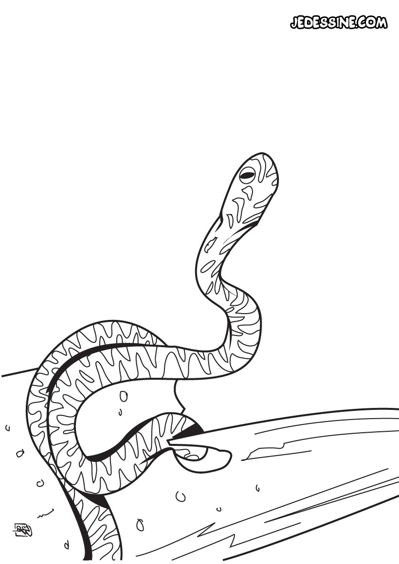 Coloriage De Serpent Simple A Colorier | 30000 dedans Coloriage Dessin Serpent