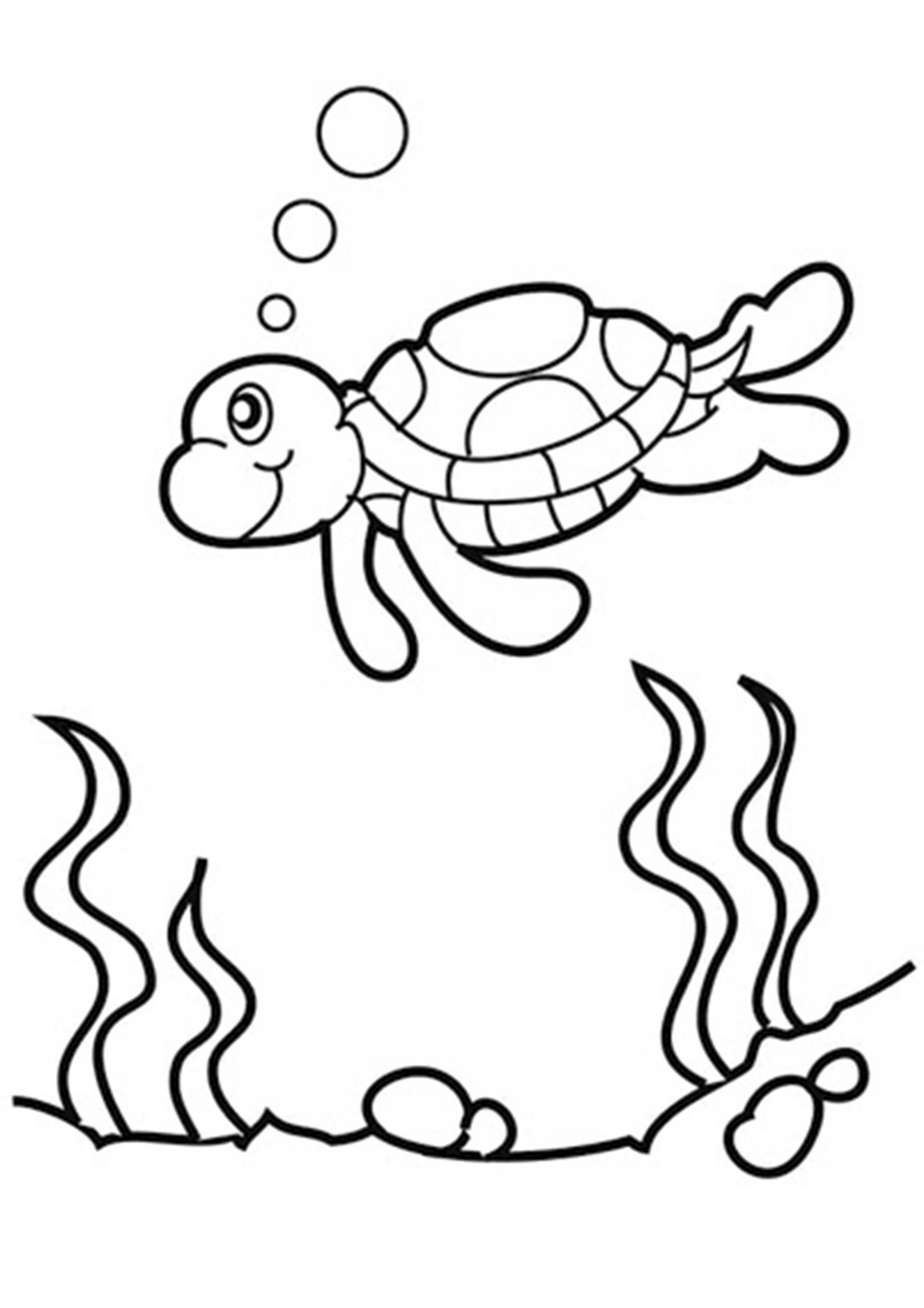 Coloriage De Tortue À Imprimer Gratuitement | Moncoloriage.fr intérieur Coloriage De Précision