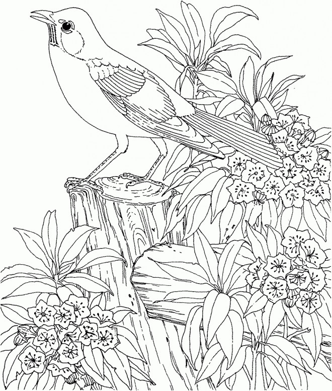 Coloriage Difficile Oiseau Stylisé Dessin Gratuit À Imprimer concernant Été Dessin À Colorier