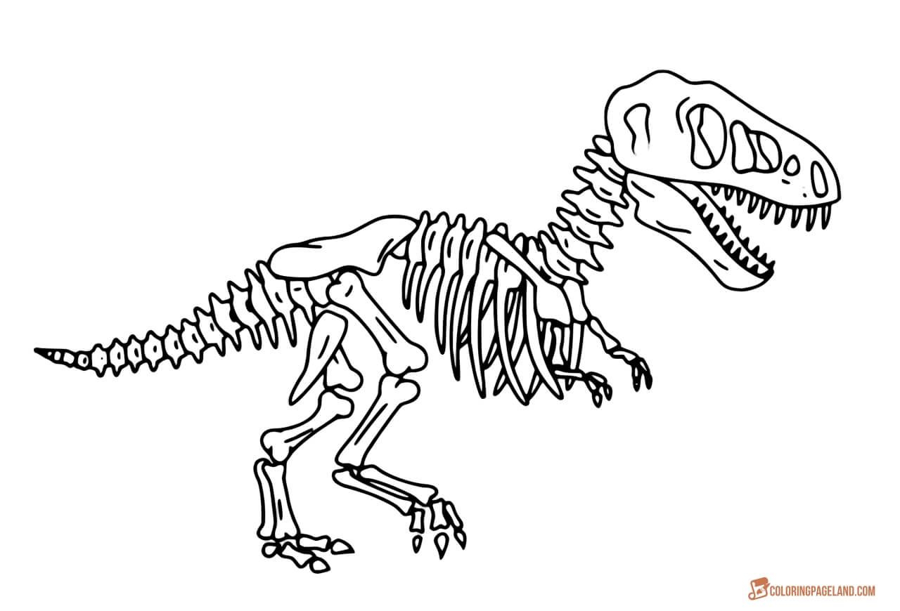 Coloriage Dinosaure Dessin Tyrannosaure T-Rex À Imprimer concernant Dessin T Rex,