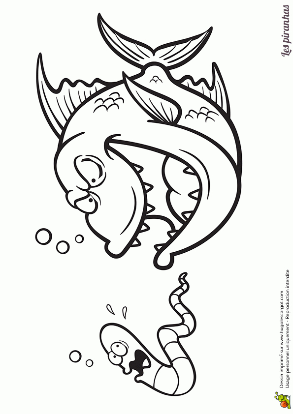 Coloriage D&amp;#039;Un Poisson Carnivore, Un Piranha Qui Veut à Coloriage Ver