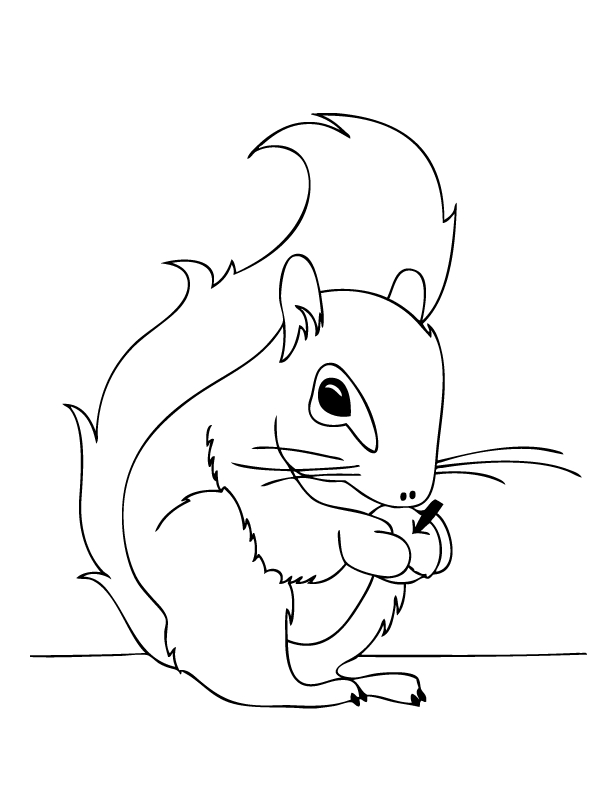 Coloriage Écureuil #6142 (Animaux) - Album De Coloriages pour Coloriage 12.5,