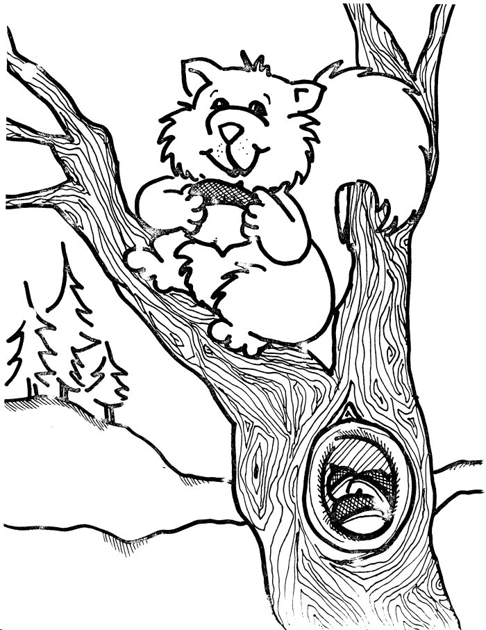 Coloriage Écureuil #6204 (Animaux) - Album De Coloriages à Coloriage 12.5,