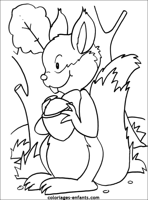 Coloriage Ecureuil Gratuit À Imprimer Liste 40 À 60 destiné Un Coloriage À Imprimer